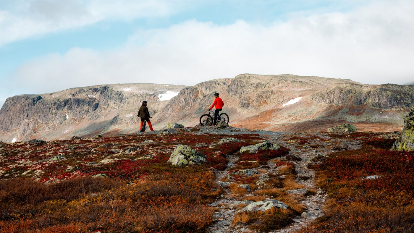 Mountain bikers riding a trail across autumn-coloured uplands